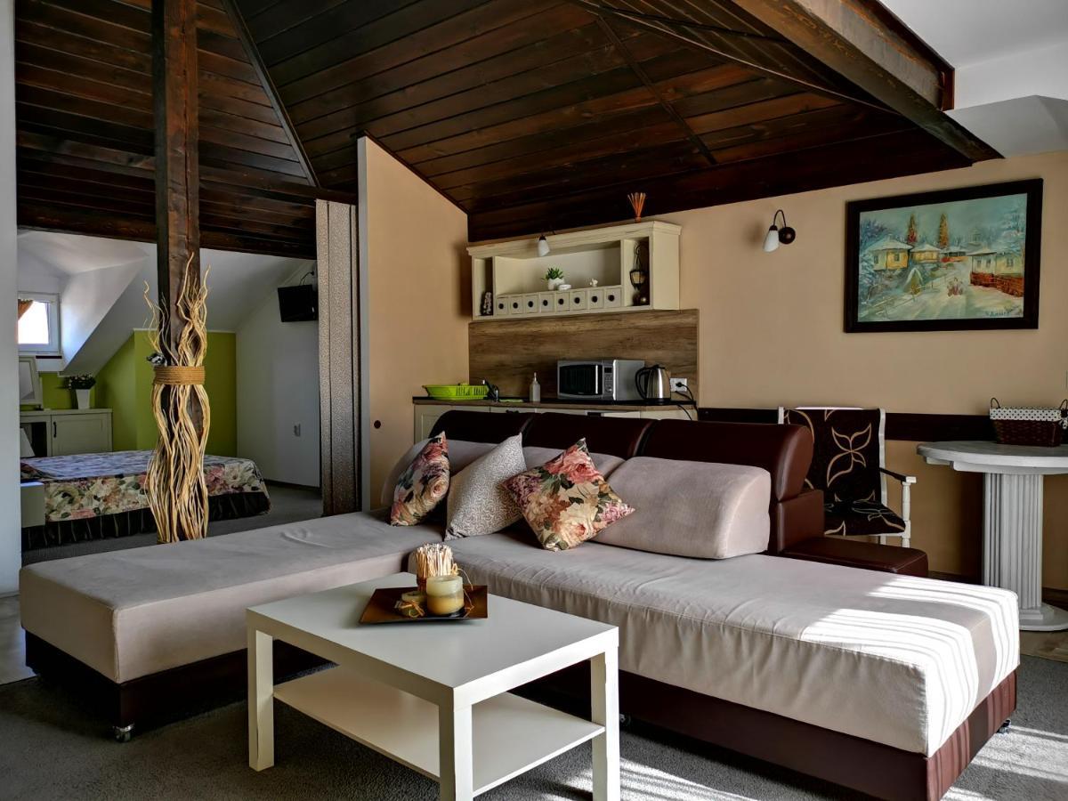 Hotel Zigen House Bansko Zewnętrze zdjęcie